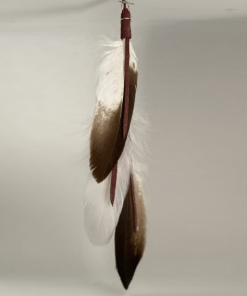 Eagle Goose Feather Totem