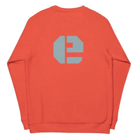 unisex-organic-raglan-sweatshirt-burnt-orange-back-633e872ccc499.jpg